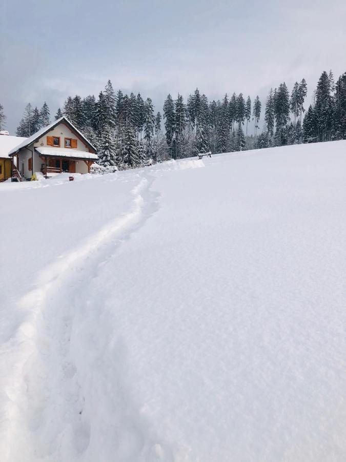 Domek W Gorach Jaworzynka Villa Kültér fotó